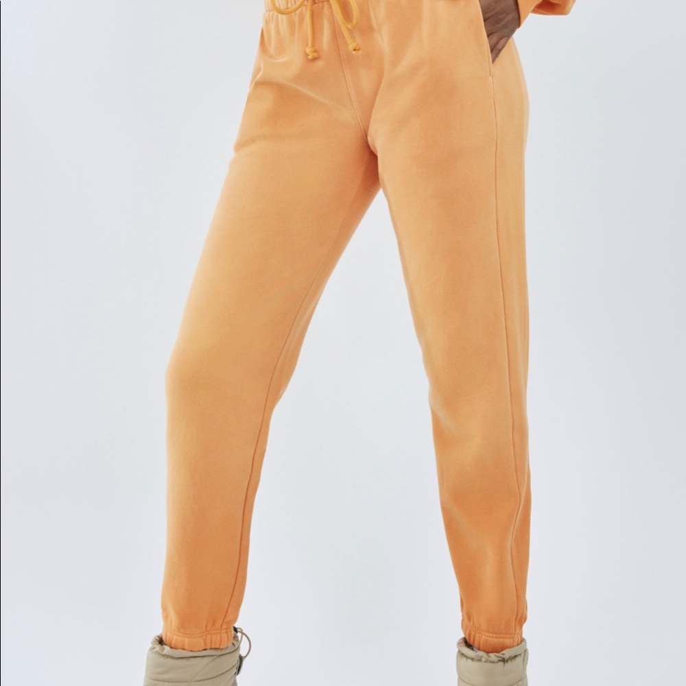 Aritzia Cozy AF Sweatpants